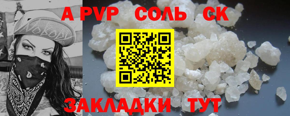 APVP СК Бердск