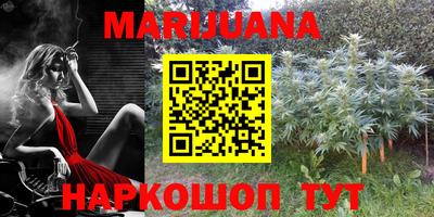 ешки Владивосток