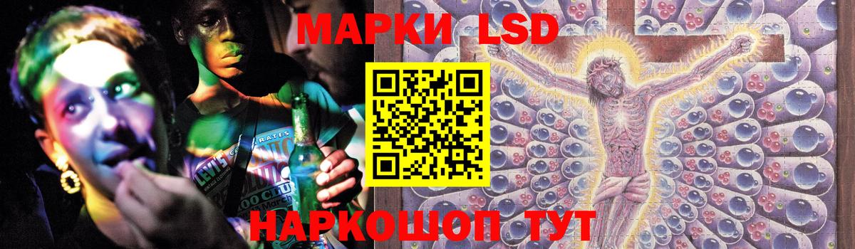 Бердск  LSD-25 экстази  Лсд 25 экстази ecstasy  Вход с VPN  ЛСД экстази ecstasy 