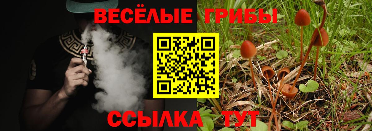 Псилоцибиновые грибы мухоморы Бердск